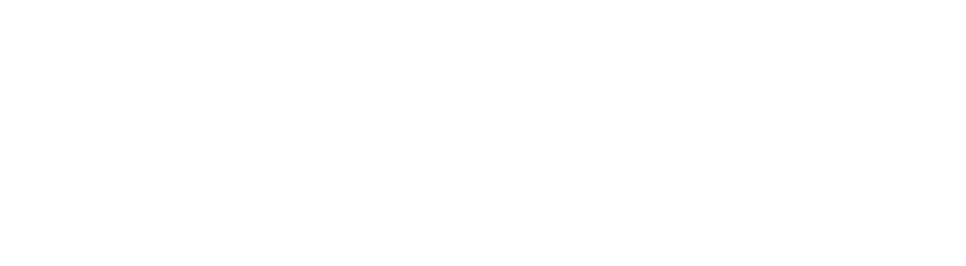 logo BECHET_client DEAL SOFTWARE